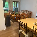 Departamento En Pucon Familiar Para 7 Personas Vista Volcan Villarrica 4 Dormitorios 3 Banos